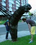 Apprivoiser les Libellules par l'art contemporain